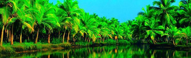 Chaandhni Lake View Hotel Alappuzha Kültér fotó